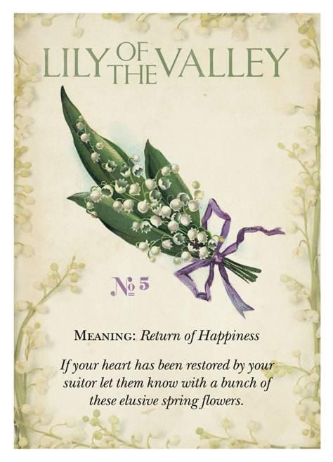 Quotes Flower, Garden Witch, Tattoo Plant, Valley Flowers, Flower Meanings, Language Of Flowers, Flower Quotes, Botanical Flowers, Lily Of The Valley