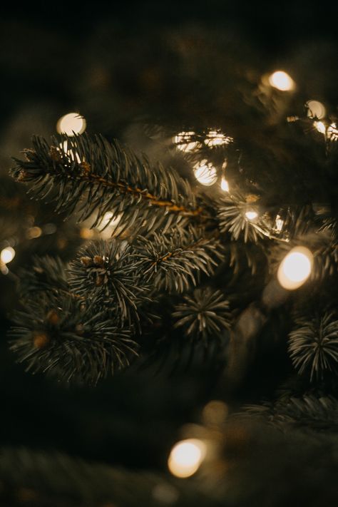 Bokeh Christmas Lights, Christmas Lights Cover Photos, Cool Wallpapers For Your Phone, Christmas Tree Photography, Christmas Shoot, Christmas Tree Lights, Dark Christmas, Shadow Photos, Tree Lights