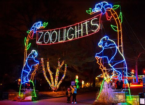 Jacksonville Zoo Lights Christmas Lights Iowa Road Trip, Zoo Lights, Beach Mom, Zoo Park, Holiday Lights Display, Christmas Getaways, Best Christmas Lights, Christmas Light Displays, Jacksonville Beach