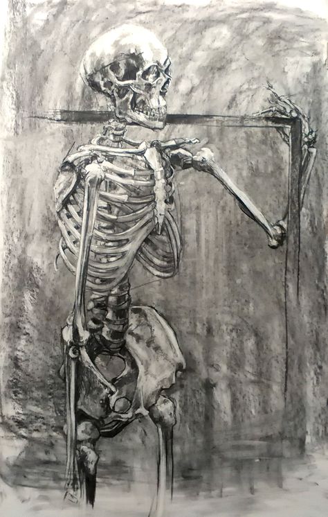 charcoal skeleton Skeleton Charcoal Drawing, Charcoal Skeleton, Sustained Investigation, Assignment Ideas, Sketchbook Assignments, Skeleton Drawings, Observational Drawing, Charcoal Art, + Core + Aesthetic