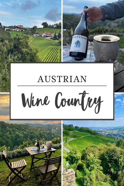 From hillside vineyards and scenic wine trails to culinary artisans and historic castles, here's why this hidden gem should be your next European escape. Austria Vacation, Styria Austria, Travel Marketing, Budget Vacation, Culinary Travel, Wine Trail, Austria Travel, Romantic Travel, South Pacific