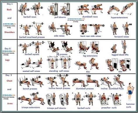 (ad) The Most Important Gym Routines for Men  1. Deadlift  2. Back squat  3. Bench Press  4. Dumbbell romanian deadlift  5. Kettlebell swing. Barbell Workout Routine, Lean Muscle Workout, 3 Day Workout, Workout Plan For Men, Work Out Routines Gym, Bodybuilding Program, Gym Antrenmanları, Full Body Workouts, Full Body Workout Routine