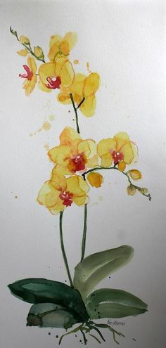 Orchid Watercolor, Orchid Drawing, Orchids Painting, Flower Drawings, Watercolor Art Paintings, Easy Flower, Art Yellow, Watercolor Set, Painting Flower