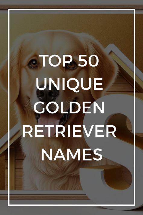 Golden Retriever Puppy Names Female, Dog Names For Golden Retrievers, Cute Golden Retriever Puppy Names, Female Golden Retriever Names, Golden Retriever Girl Names, Cute Golden Retriever Names, Golden Retriever Names Male, Dog Names Golden Retriever, Golden Retriever Puppy Names