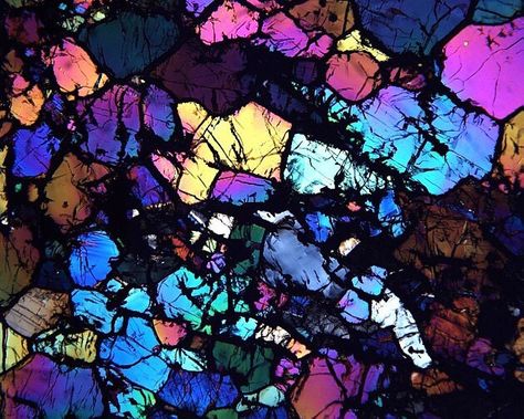 Smithsonian on Instagram: “You're looking at a ureilite meteorite under a microscope. When illuminated with polarized light, they appear in dazzling colors,…” Microscopic Photography, Conservation Biology, Under A Microscope, Microscopic Images, Microscopes, Things Under A Microscope, Back Together, Our Solar System, Zoology