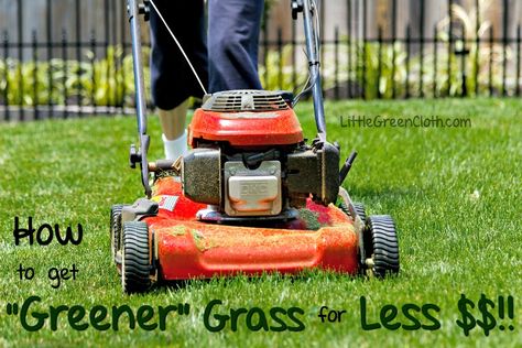 How to Save Money on your Lawn Mowing Lawn Aesthetic, Lawn Care Humor, Paver Edging, Gardening Essentials, Fall Maintenance, Electric Mower, Pavers Diy, Lawn Mower Repair, Best Lawn Mower