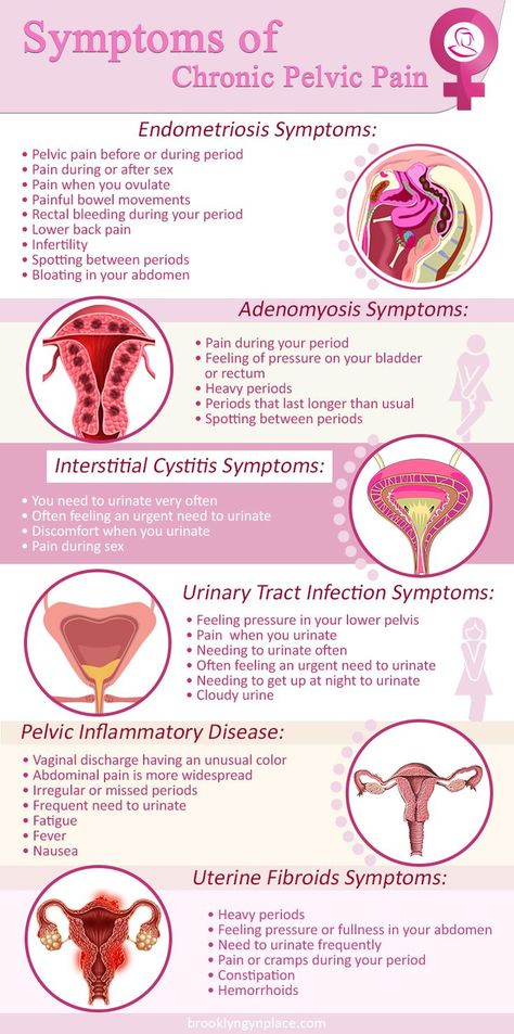 Chronic pelvic pain is pain below the belly button and between the hips that lasts for six months and more. This type of disorder can have multiple causes, or it can be a symptom of another disease. Pain in the pelvis can be caused by another health condition. If this is the case, treating that disorder might be enough for the pelvic pain to disappear. However, specialists put an emphasis on the fact that it might be impossible to identify the root cause of chronic pelvic pain. Green Tea Benefits Health, Fibroid Diet, How To Become Happy, Nursing School Essential, Pregnancy Guide, Menstrual Health, Women Health Care, Medical School Essentials, Period Pain