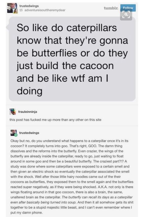 da heck Writing Essays, Funny Tumblr, Funny Tumblr Posts, The More You Know, Very Funny, What’s Going On, Outdoor Play, Tumblr Posts, Tumblr Funny