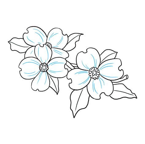 How to Draw Dogwood Flowers - Really Easy Drawing Tutorial Dogwood Flower Drawing, Dogwood Tattoo, Dogwood Flower Tattoos, Flower Coloring Sheets, Easy Drawing Guides, Printable Flower Coloring Pages, Dogwood Blooms, Garden Coloring Pages, Dogwood Flower