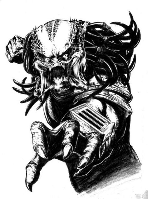 B&W Predator art Predator Tattoo, Predator Artwork, Predator Alien Art, Predator Movie, Horror Drawing, Alien Tattoo, Alien Vs Predator, Alien Vs, Ink Artwork