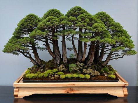 Forest Bonsai, Forest Inspiration, Bonsai Forest, Bonsai Garden, Bonsai Tree, Planting, Forest, Architecture, Stone