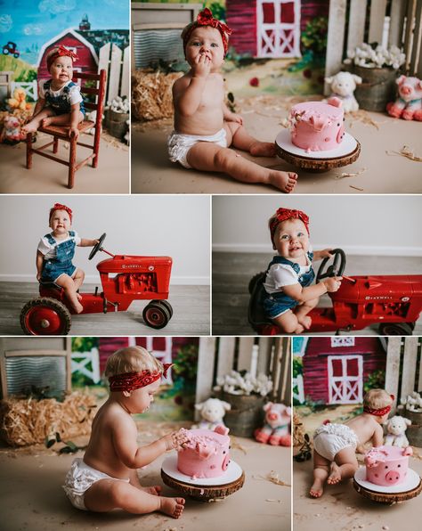 Girly farm cake smash theme, first birthday farm session photography Farm Theme Cake Smash, Farm Theme First Birthday Pictures, Smash Cake Farm Theme, Farm First Birthday Girl, Farm Smash Cake, Farm Cake Smash, First Birthday Farm, Farm Birthday Cake, Farm Birthday Cakes