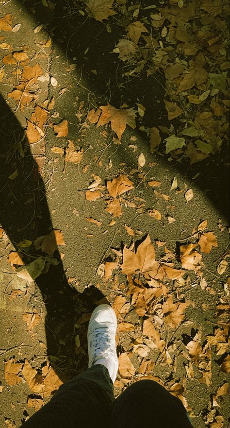 #autumn #walking #shoes #nature #snapchat #story Outside Snapchat Stories, Nature Snapchat Stories, Outside Snapchat, Nature Snapchat, Walking Outside, Snapchat Story, Snapchat Stories, Walking Shoes, Snapchat