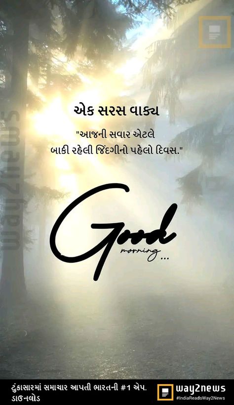 Gujarati Quotes Life Feeling, Gujarati Quotes Thoughts, Good Morning Quotes In Gujarati, Gujarati Calligraphy, Good Morning Gujarati, Silly Love Quotes, Good Morning Massage, Appreciate Life Quotes, Good Morning Spiritual Quotes