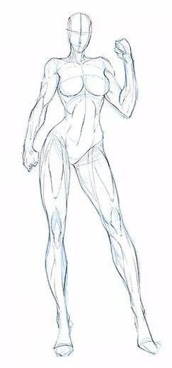 Body Type Drawing, Human Body Drawing, Drawing Female Body, Comic Book Drawing, Body Shape Drawing, Female Drawing, Human Anatomy Drawing, Human Figure Drawing, Human Anatomy Art