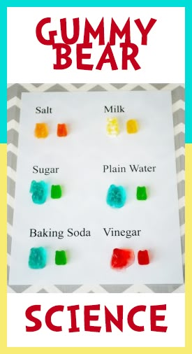 Gummy Bear Science Project, Gummy Bear Experiment, Science Project For Kids, Kids Science Fair Projects, Cool Science Fair Projects, Science Stem, Preschool Science Activities, Science Experiments For Preschoolers, Science Tools