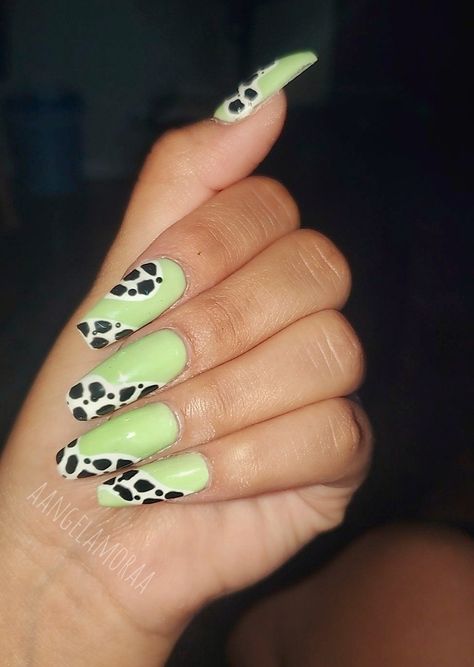 Green Cow Print, Cow Print, Nail Design, Mint Green, Cow, Nail Designs, Mint, Nails, Green