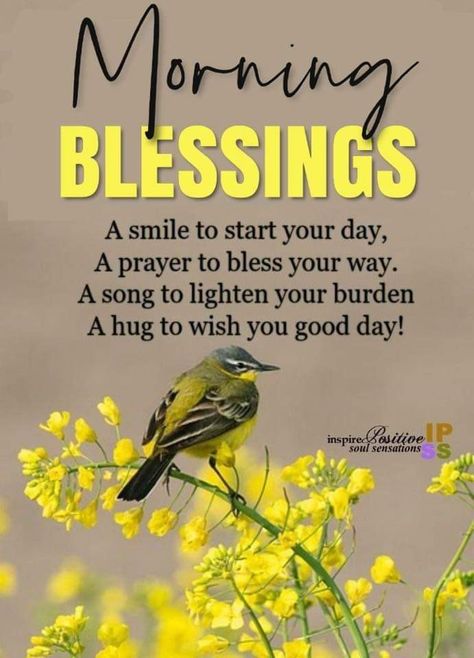 Blessed Morning Quotes, Morning Scripture, Good Morning Sweetheart, Sweetheart Quotes, Morning Sunshine Quotes, Mom Prayers, Positive Good Morning Quotes, Morning Sweetheart, Beautiful Morning Quotes