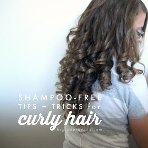 No 'Poo Tips + Tricks for Curly Hair Shampoo Tips, No Poo Method, Oil For Curly Hair, Coconut Oil Hair Growth, Curly Hair Overnight, Coconut Oil Hair Mask, No Poo, Hair Massage, Curly Girl Method