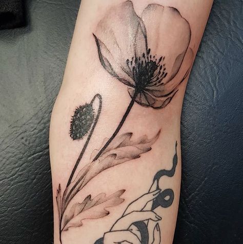 K A L E I D O S C O P E T A T T O O - Xray poppy tattoo Poppy Tattoo Sleeve, Xray Tattoo, Lilly Flower Tattoo, Xray Flower, Flower Tattoo On Ribs, Poppy Flower Tattoo, Flower Shoulder Tattoo, Ray Tattoo, Poppy Tattoo