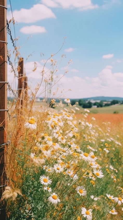 Summer wallpaper countryside grassland outdoors. | premium image by rawpixel.com Summer Country Aesthetic Wallpaper, Summer Country Wallpaper, Country Side Aesthetic Wallpaper, Summer Landscape Aesthetic, Western Summer Wallpaper, Country Summer Wallpaper, Vintage Summer Aesthetic Wallpaper, Elio Aesthetic, Summer Backgrounds Wallpapers