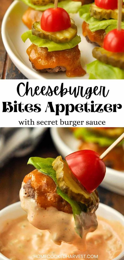 Cheeseburger Bites Heavy Apps, Cheeseburger Bites, Tailgate Foods, Easy Sandwiches, Mini Cheeseburger, Heavy Appetizers, Burger Bites, Mini Burgers, Best Appetizer Recipes