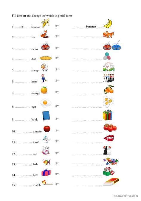 Fill a or an and change the words to plural form Plurals Worksheets, Plural Nouns Worksheet, English Worksheets For Kindergarten, Grammar For Kids, Nouns Worksheet, Teaching English Grammar, Learning English For Kids, English Phonics, English Grammar Worksheets