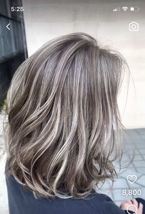 Biolage Highlights For Grey Hair, Dark Hair Going Gray Highlights, Grey Blending Dark Blonde, Gunmetal Hair Color, Natural Grey With Lowlights, Dark Blonde And Gray Hair, Gray Highlights On Light Brown Hair, Ash Beige Hair Highlights, Natural Grey Hair With Lowlights