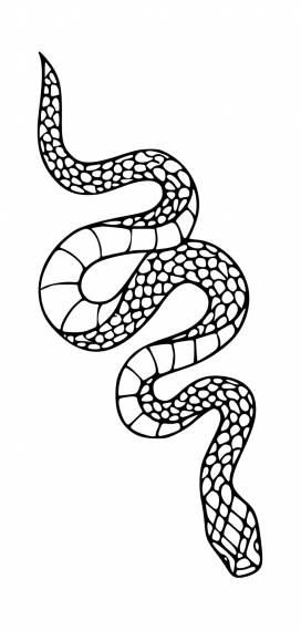 Show Tattoo, Buddha Wallpaper Iphone, Tattoo Png, Tattoo Svg, Vector Tattoo, Building Silhouette, Snake Illustration, Cool Snakes, Duck Wallpaper