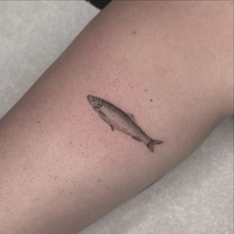 What do you think of this little fish? 🐟 If you are thinking about a new tattoo, write me to DM🫶🏻 • • • • • • • • • #tatto #tattoos #inkdrawing #fineline Salmon Tattoo Simple, Salmon Tattoo, Handpoke Tattoo, Fish Tattoo, Stick And Poke, New Tattoo, Fine Line Tattoos, Line Tattoos, Simple Tattoos