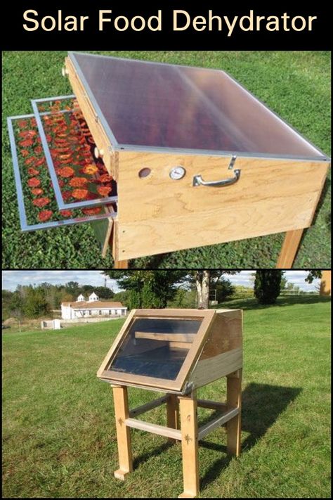 Solar Food Dehydrator, Solar Dehydrator, Food Dryer, Food Dehydrator, Homestead Survival, Diy Solar, Dehydrator Recipes, Storage Diy, Furniture Storage