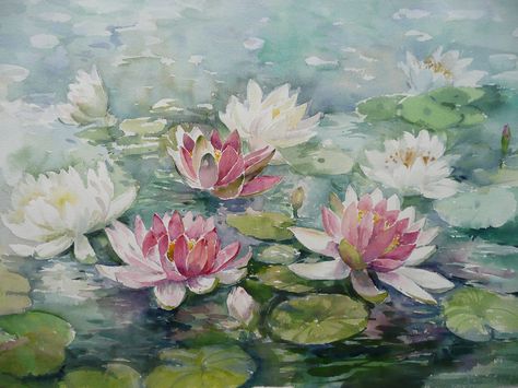 Kolam Air, Water Lilies Painting, Lotus Flower Pictures, Lily Painting, Lotus Art, Watercolor Water, Art Watercolor Painting, Abstract Flower Painting, Impressionism Art