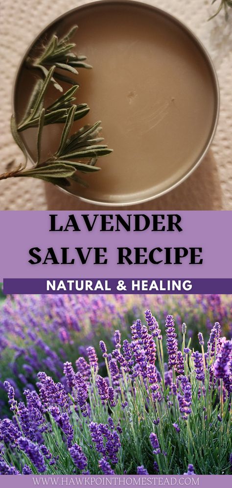 This recipe for homemade soothing lavender salve is so easy and makes a delightful salve that can be used to sooth, heal and moisturize skin. Enjoy making and using your own lavender salve made from natural ingredients and herbs and flowers. It is very easy to make small batches of these salves from simple ingredients. The diy salve would also make a lovely gift! Lavender Salve Recipe, Mint Salve Recipe, Red Clover Salve, Lavender Oil Diy, Homemade Lavender Oil, Homemade Salve Recipes, Herbalist Garden, Diy Salve, Apothecary Recipes