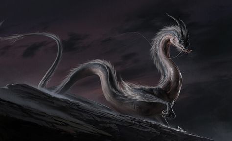 ArtStation - Evil Dragon, JIAWEI FU Chinese Dragon Character Design, Evil Dragon, Chinese Dragon Art, Dragon Chino, Eastern Dragon, Animal Magic, Pirate Woman, Dragon Pictures, Alien Creatures