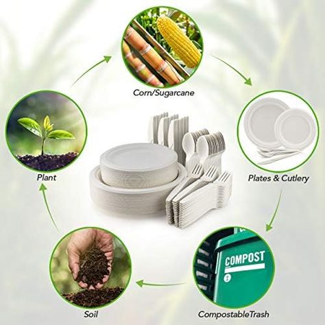 Bulk 250 Piece Biodegradable Paper Plates Set (EXTRA LONG UTENSILS), Disposable Dinnerware Set, Eco Friendly Compostable Plates & Utensil include Plates, Forks, Knives and Spoons for Party Manufacturer Check more at https://www.packagingeye.com/product/bulk-250-piece-biodegradable-paper-plates-set-extra-long-utensils-disposable-dinnerware-set-eco-friendly-compostable-plates-utensil-include-plates-forks-knives-and-spoons-for-party-manufacture Compostable Plates, Compost Soil, Wood Plates, Pulp Paper, Food F, Office Outdoor, Hot Food, Disposable Plates, Outdoor Living Room