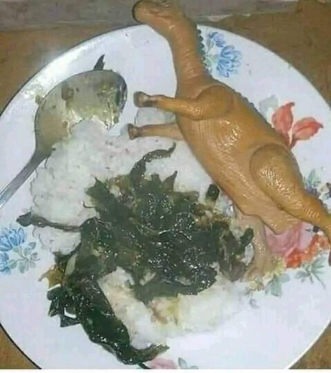 No specie of dinosaur can fit into your tiny plate 🤷🤷 Filipino Memes, Tagalog Quotes Funny, Interesting Story, Filipino Funny, Food Memes, Wait What, Jokes Pics, Strange Things, Weird Food