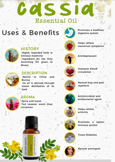 Cassia Essential Oil Benefits, Cassia Essential Oil Uses, Cassia Oil Benefits, Cassia Essential Oil Blends, Sandalwood Oil Benefits, Sandlewood Essential Oil, Cassia Essential Oil, Magickal Herbs, Spearmint Essential Oil