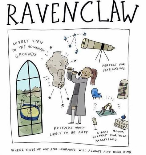 Which Hogwarts House, Ravenclaw Pride, Harry Porter, Ravenclaw Aesthetic, Buku Harry Potter, Yer A Wizard Harry, Harry Potter Ravenclaw, Harry Potter Houses, Rosamund Pike