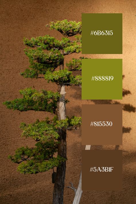 This Green and brown palette captures a bonsai tree with lush green foliage against a textured brown background, emphasizing the harmony of green and brown tones. Green Brown Color Palette, Green And Brown Palette, Brown And Green Color Palette, Green Colour Combinations, Green Brown Palette, Tree Color Palette, Green And Brown Color Palette, Brown Colour Palette, Color Scheme Generator