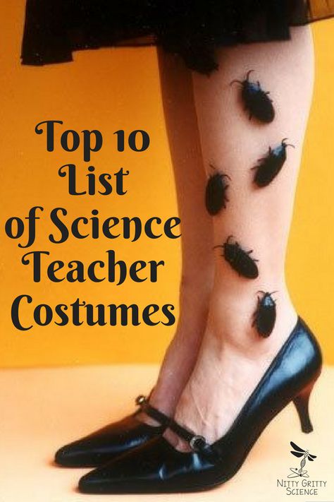 Halloween costumes for science teachers | Nitty Gritty Science - Science Education Teacher Resources Science Costumes, Scientist Costume, Punny Halloween Costumes, High School Science Teacher, Teacher Halloween Costumes, Themed Halloween Costumes, Science Week, Teacher Costumes, Halloween Science