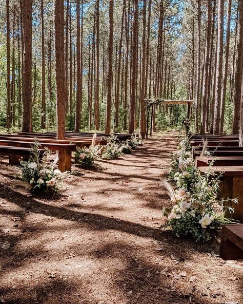 Forest Wedding Arches, Pine Forest Wedding Ceremony, Pine Tree Wedding Ceremony, Wedding In Pine Trees, Pnw Forest Wedding, Forest Ceremony Wedding, Red Wood Forest Wedding, Forrest Weddings Decoration, Teepee Wedding Ideas