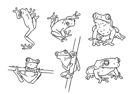 Frog Line Art, Tree Frog Tattoos, Frog Coloring, Frog Sketch, Green Tree Frog, Frog Coloring Pages, Frog Illustration, Frog Tattoos, Frog Drawing