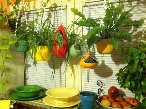 Vintage Plant Pots, Dorm Stuff, Vintage Flower Pots, Hanging Flower Pots, Hanging Flower, Aesthetic Inspiration, Indoor Gardening, Vintage Interiors, Patio Spaces