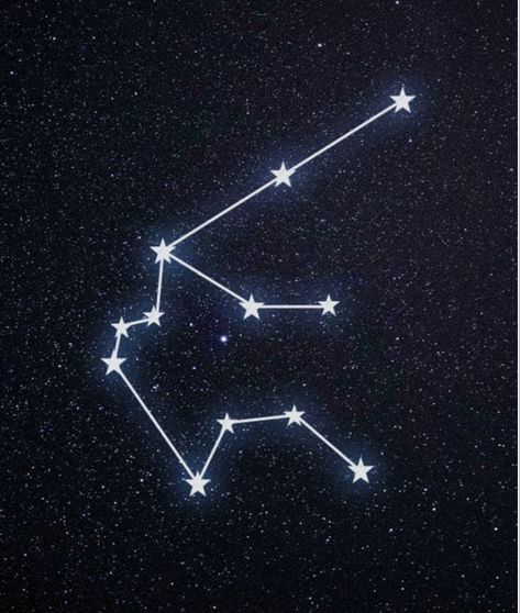 Aquarius Star Constellation, Aquarius Images, Aquarius Aesthetic, Aquarius Constellation, Galaxy Tattoo, Age Of Aquarius, Phoenix Tattoo, Star Constellations, Star System