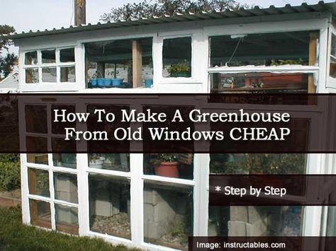 How To Make A Greenhouse From Old Windows CHEAP Greenhouse From Old Windows, Make A Greenhouse, Diy Garden Shed, Best Greenhouse, Green House Design, Large Greenhouse, Greenhouse Shed, Build A Greenhouse, Home Greenhouse