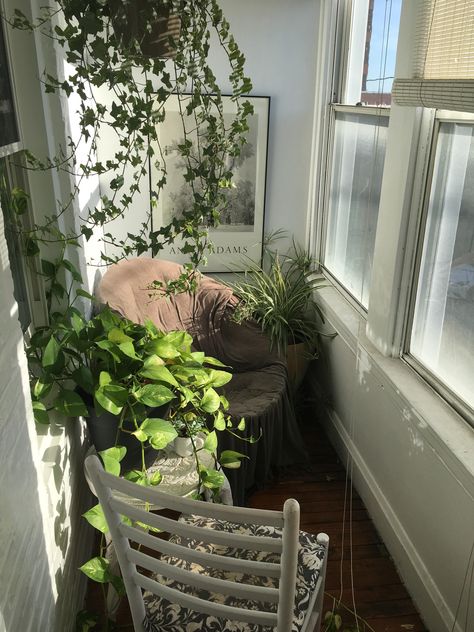 Tiny Sunroom, Old Victorian Mansions, Farmhouse Sunroom, Sunroom Office, Small Sunroom, Sunroom Decorating, Sunroom Designs, Home Grown Vegetables, Inside Plants