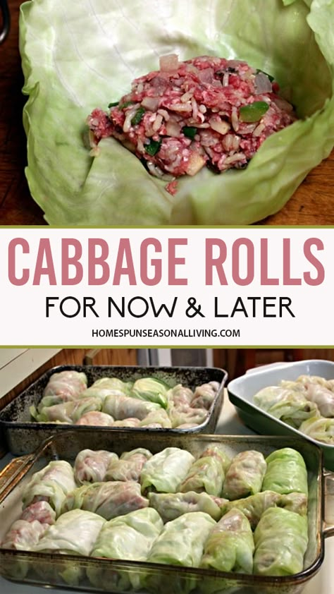 Cabbage Pigs In A Blanket Recipe, Piggies In A Blanket Cabbage, Pigs In The Blanket Cabbage, Pigs In A Blanket Recipe Cabbage, Quick Winter Dinner, Leftover Cabbage, Stuff Cabbage, Pigs In A Blanket Recipe, Recipe Cabbage