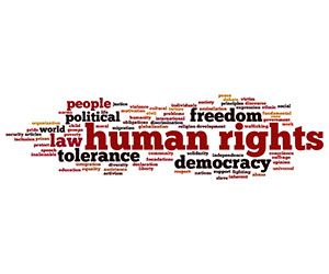 United Nation Organisation, Diversity Quotes, Universal Declaration Of Human Rights, Project Cover, International Humanitarian Law, Project Cover Page, Violation Of Human Rights, Human Rights Law, Declaration Of Human Rights