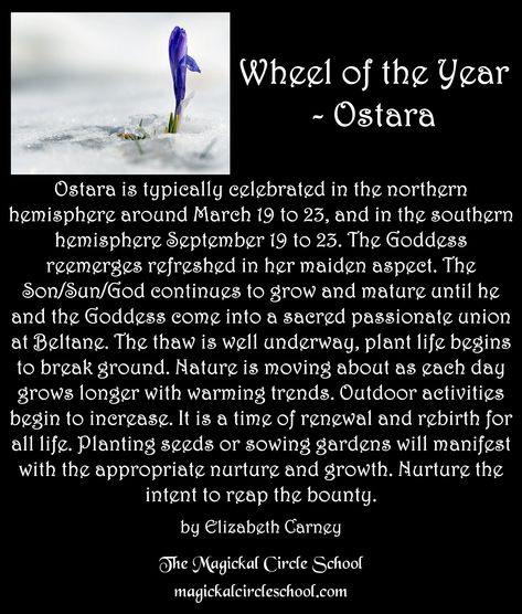 Witchcraft Spells For Beginners, Spells For Beginners, Wheel Of The Year, Sun God, Spring Equinox, Spells Witchcraft, Beltane, The Goddess, Book Of Shadows