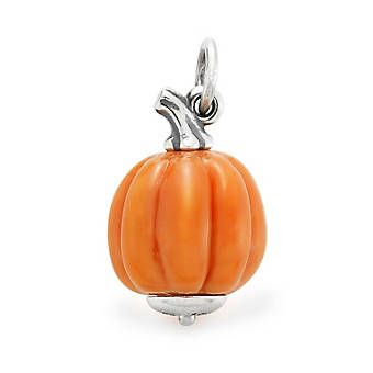 Halloween Charm Bracelet, James Avery Charms, Sand Dollar Pendant, Harvest Pumpkin, James Avery Jewelry, Fall Spices, Halloween Charms, Pumpkin Art, Beauty Creations